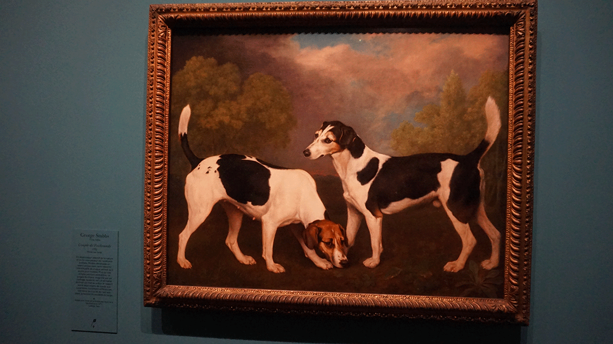 cachorros retratados na pintura inglesa
