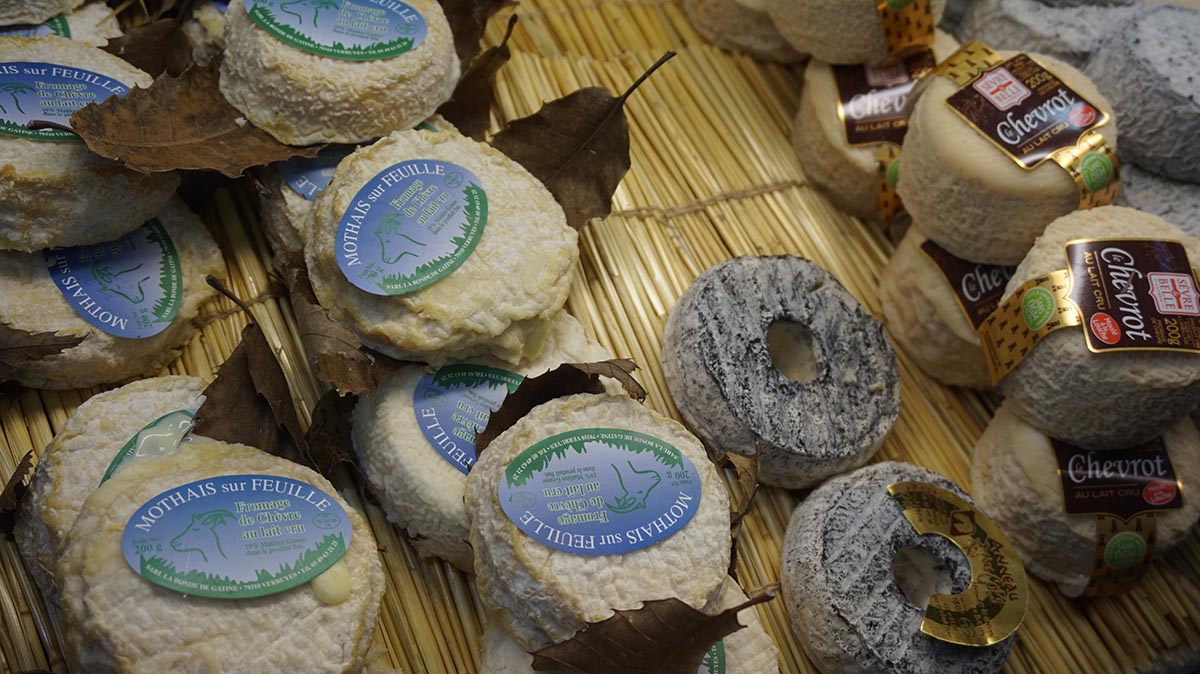 Salao da agricultura queijo cabra